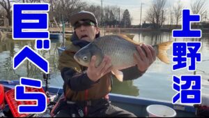 上野沼で釣りをしたら、巨大なヘラブナが現れた！