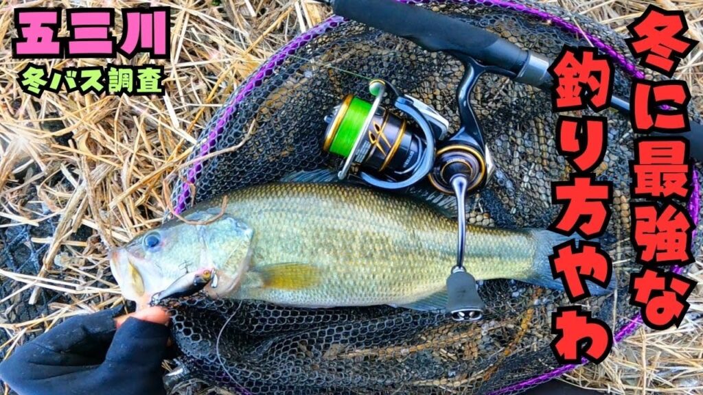 [バス釣り] 五三川にて冬に最強の釣り方で初バスを釣り上げる！[五三川] [大江川]
