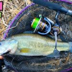 [バス釣り] 五三川にて冬に最強の釣り方で初バスを釣り上げる！[五三川] [大江川]