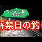 ジウコシヤ箱【渓流釣り】解禁日ってこんな感じだよ