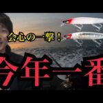 真冬の遠州灘サーフへ夜と朝の狭間に釣りに行ったら今年一番の大物が…