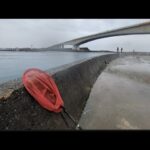 【最速直近浜名湖大曲情報】📢２月２日（日曜日）ついさっきの🎣