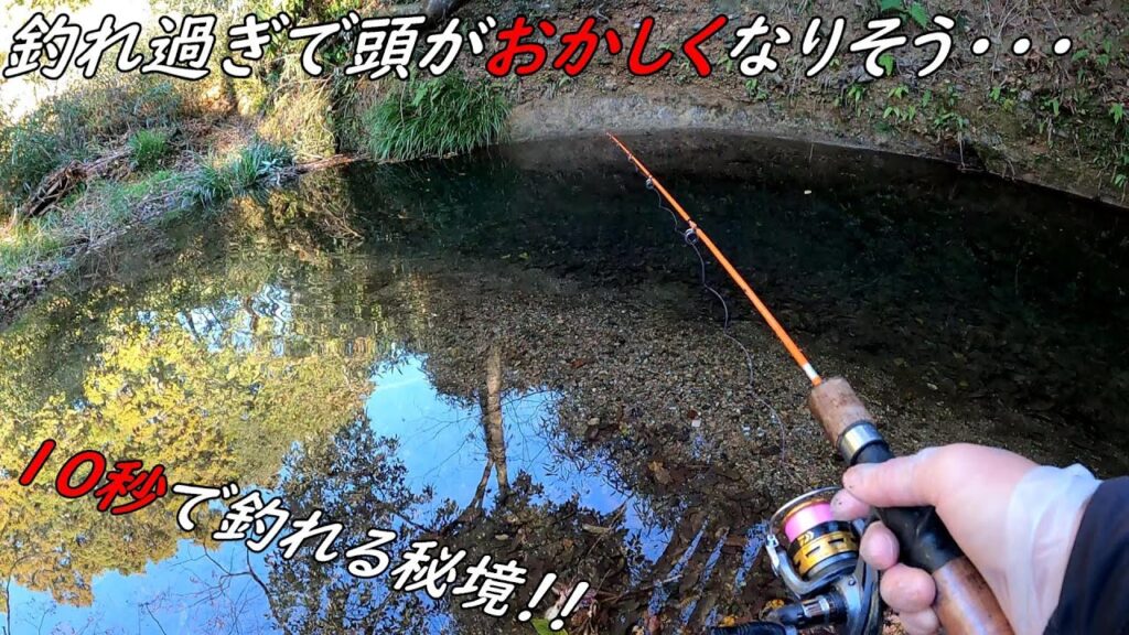 この川おかしい・・・　釣れる魚が全部ヌシ級！！