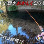この川おかしい・・・　釣れる魚が全部ヌシ級！！