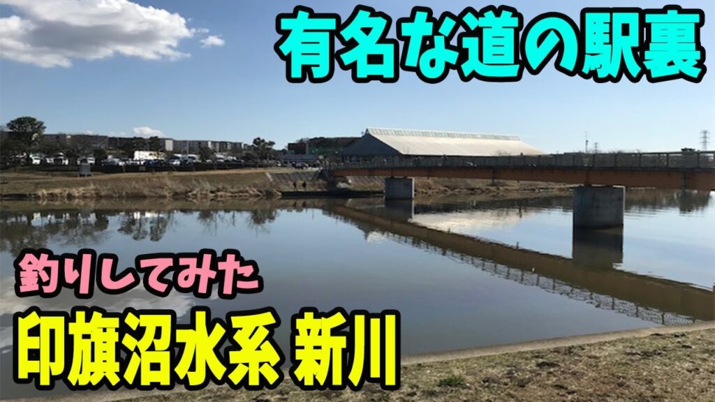 印旗沼、新川！凄く釣り易くて、橋、葦、護岸と盛り沢山！有名な道の駅前で釣りしてみた！！