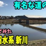 印旗沼、新川！凄く釣り易くて、橋、葦、護岸と盛り沢山！有名な道の駅前で釣りしてみた！！