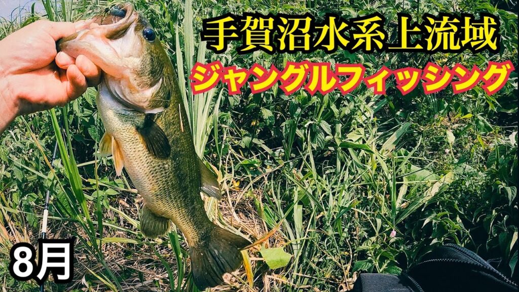 ジャングルフィッシング(バス釣り)(手賀沼)