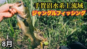 ジャングルフィッシング(バス釣り)(手賀沼)