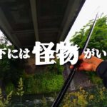 【渓流釣り】【餌釣り】怪物が掛かった。