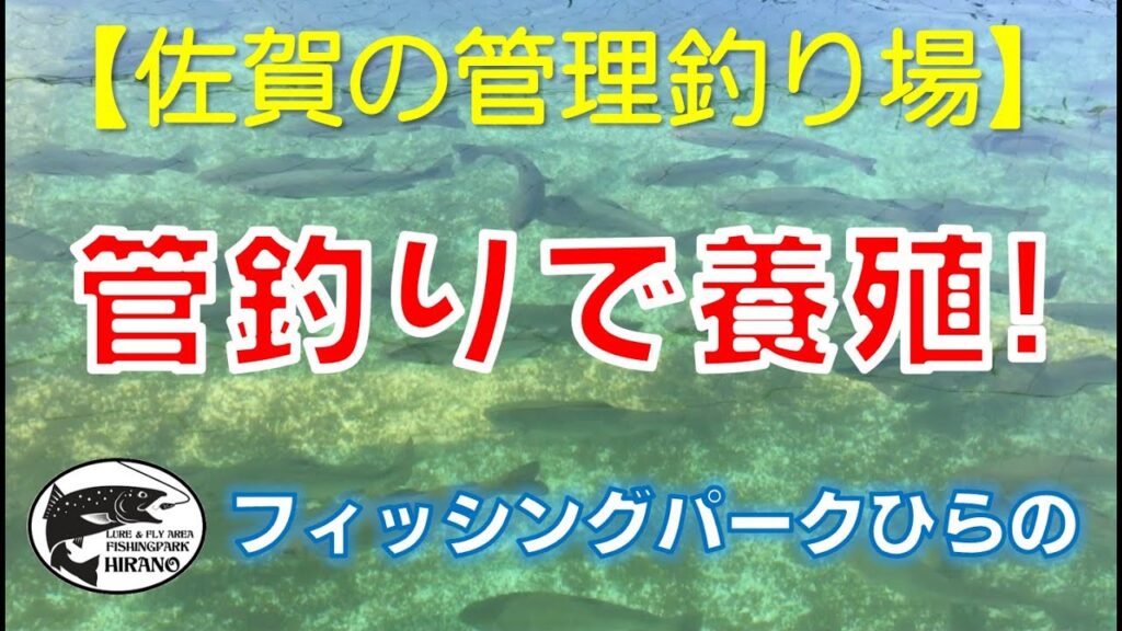 【佐賀の管理釣り場】　フィッシングパークひらの　「管釣りで養殖!」　公式プロモーションムービー２　ニジマス　平之ニジマス釣堀公園　ルアー　フライ　エリアトラウト