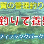 【佐賀の管理釣り場】　フィッシングパークひらの　「管釣りで養殖!」　公式プロモーションムービー２　ニジマス　平之ニジマス釣堀公園　ルアー　フライ　エリアトラウト