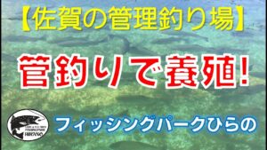 【佐賀の管理釣り場】 フィッシングパークひらの 「管釣りで養殖!」 公式プロモーションムービー2 ニジマス 平之ニジマス釣堀公園 ルアー フライ エリアトラウト