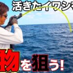 船の上で泳がせ釣りをするとデカい魚が爆釣！？