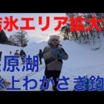 【 桧原湖氷上エリア拡大中‼️ 】桧原湖の氷上わかさぎ釣り前編　〜こたかもりオートキャンプ場〜