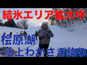 【 桧原湖氷上エリア拡大中‼️ 】桧原湖の氷上わかさぎ釣り前編 〜こたかもりオートキャンプ場〜