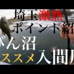 【バス釣り】埼玉バス釣りポイント！びん沼　びん沼川　入間川【埼玉バス釣り】