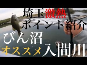 【バス釣り】埼玉バス釣りポイント!びん沼 びん沼川 入間川【埼玉バス釣り】