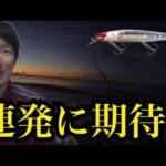真冬の遠州灘サーフへ暗い内から釣りに行ってきました。