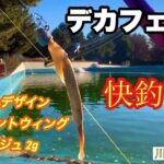 ジャイアントウィングで快釣！【川越水上公園】【エリアトラウト】【管理釣り場】【管釣り】【ハートデザイン】