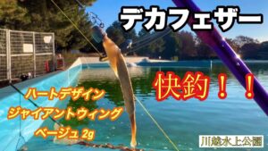 ジャイアントウィングで快釣！【川越水上公園】【エリアトラウト】【管理釣り場】【管釣り】【ハートデザイン】