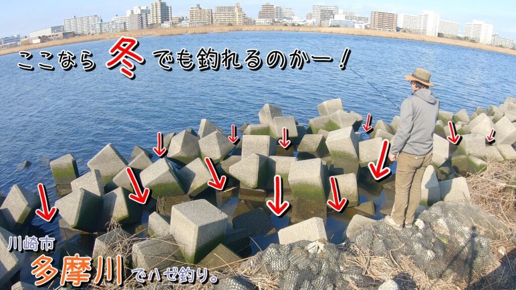 やった！ここなら冬でも釣れるのかー！  落ちハゼ狙い釣行～♪   川崎市 多摩川でハゼ釣り。