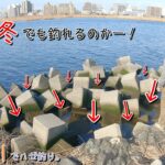 やった！ここなら冬でも釣れるのかー！  落ちハゼ狙い釣行～♪   川崎市 多摩川でハゼ釣り。