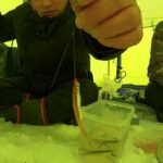 桧原湖氷上ワカサギ釣り、雄子沢で大爆釣～