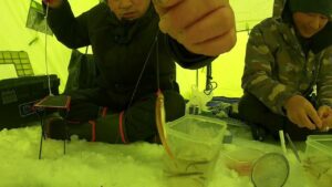 桧原湖氷上ワカサギ釣り、雄子沢で大爆釣~