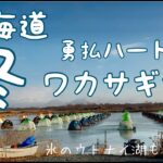 【北海道冬】氷の上でワカサギ釣り！勇払ハート沼で冬を堪能！
