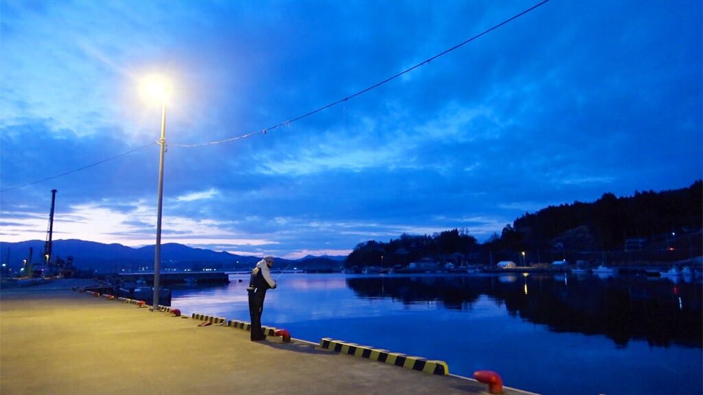 明かりが点いたらアジが湧いてきた！！地元気仙沼の海でのライトゲームが楽しすぎる