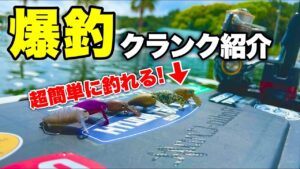 管釣り初心者でも超簡単に爆釣できるおすすめクランク紹介＆使い方解説！春～秋はこのルアーにおまかせ!?【エリアトラウト】【管理釣り場】