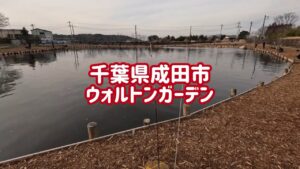 ウォルトンガーデン