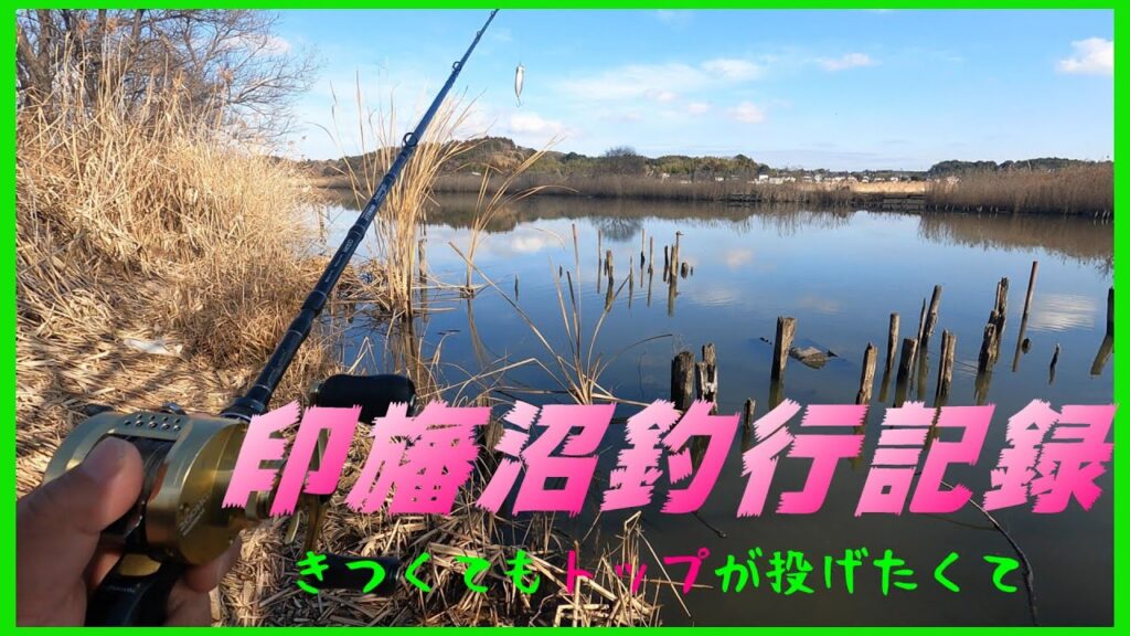 【バス釣り】久しぶりに印旛沼で釣行してみた。　＃へドン　＃ビッグベイト　＃トップウォーター