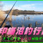 【バス釣り】久しぶりに印旛沼で釣行してみた。　＃へドン　＃ビッグベイト　＃トップウォーター