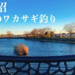 【ワカサギ釣り】今年は渋い!?柴山沼でワカサギ釣り