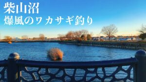 【ワカサギ釣り】今年は渋い!?柴山沼でワカサギ釣り