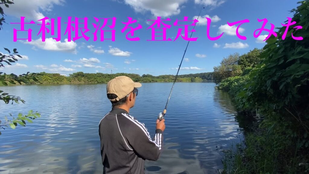 関東バス釣りポイント　千葉県　我孫子市　【古利根沼】