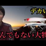 真冬の遠州灘サーフで釣りしたら…どんでもない大物が🔥