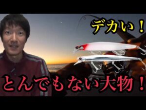 真冬の遠州灘サーフで釣りしたら…どんでもない大物が🔥