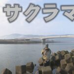 九頭竜川のサクラマス釣りが２月１日から解禁　幻の魚を求め初日から１００人近い釣り人が訪れた