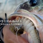 極寒と濁りが生む至高のバイト！大江川＆五三川で真冬のビッグバスを狙う / 加木屋守 - 松田祐輝