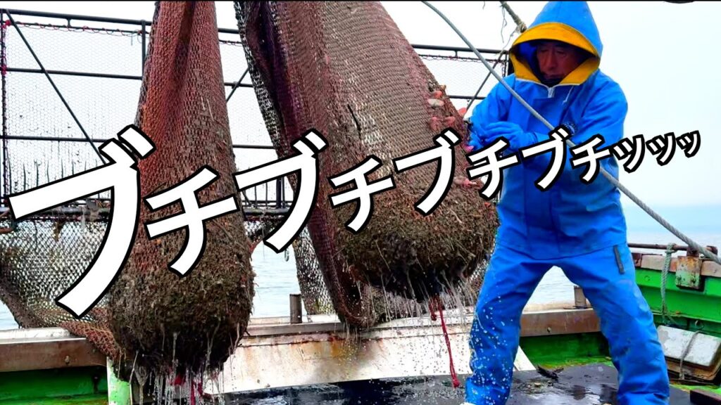 網がちぎれるほど【アレ】を獲ってしまいました。