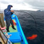 無人島の横で五目釣りしたら予想外の魚連発で驚いた！漁協に売ったらいくらになるか？