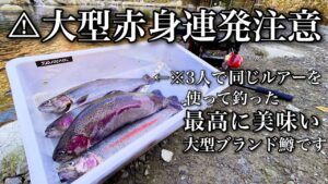 大物ラッシュが止まらない!初心者でも簡単に爆釣できる新作ルアーがヤバい...【八丁堀】【エリアトラウト】【管理釣り場】【初心者向け】