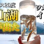 【北海道】【釣り】マイナス２０度！金山湖で鬼が出た！ワカサギ・イトウ狙い！