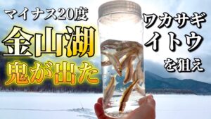 【北海道】【釣り】マイナス２０度！金山湖で鬼が出た！ワカサギ・イトウ狙い！
