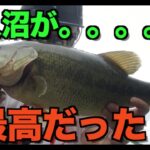 [バス釣り] 牛久沼が最高だった！！