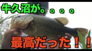 [バス釣り] 牛久沼が最高だった！！