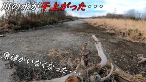 川が干上がって水がない!! 川魚の美味しい食べ方♪