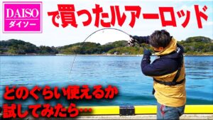 ダイソールアーロッド実釣力検証。コスパは◎だが、伝えたいことがある。